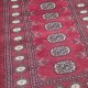 Bokhara Runner 295cm x 80cm – Rich Red Wool Runner Authentic Bokhara Runner Bokhara Runner 295cm x 80cm – Rich Red Wool Runner Authentic Bokhara Runner